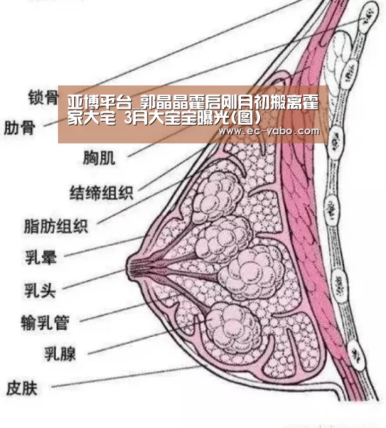 亚博平台_郭晶晶霍启刚月初搬离霍家大宅 3月大宝宝曝光(图)