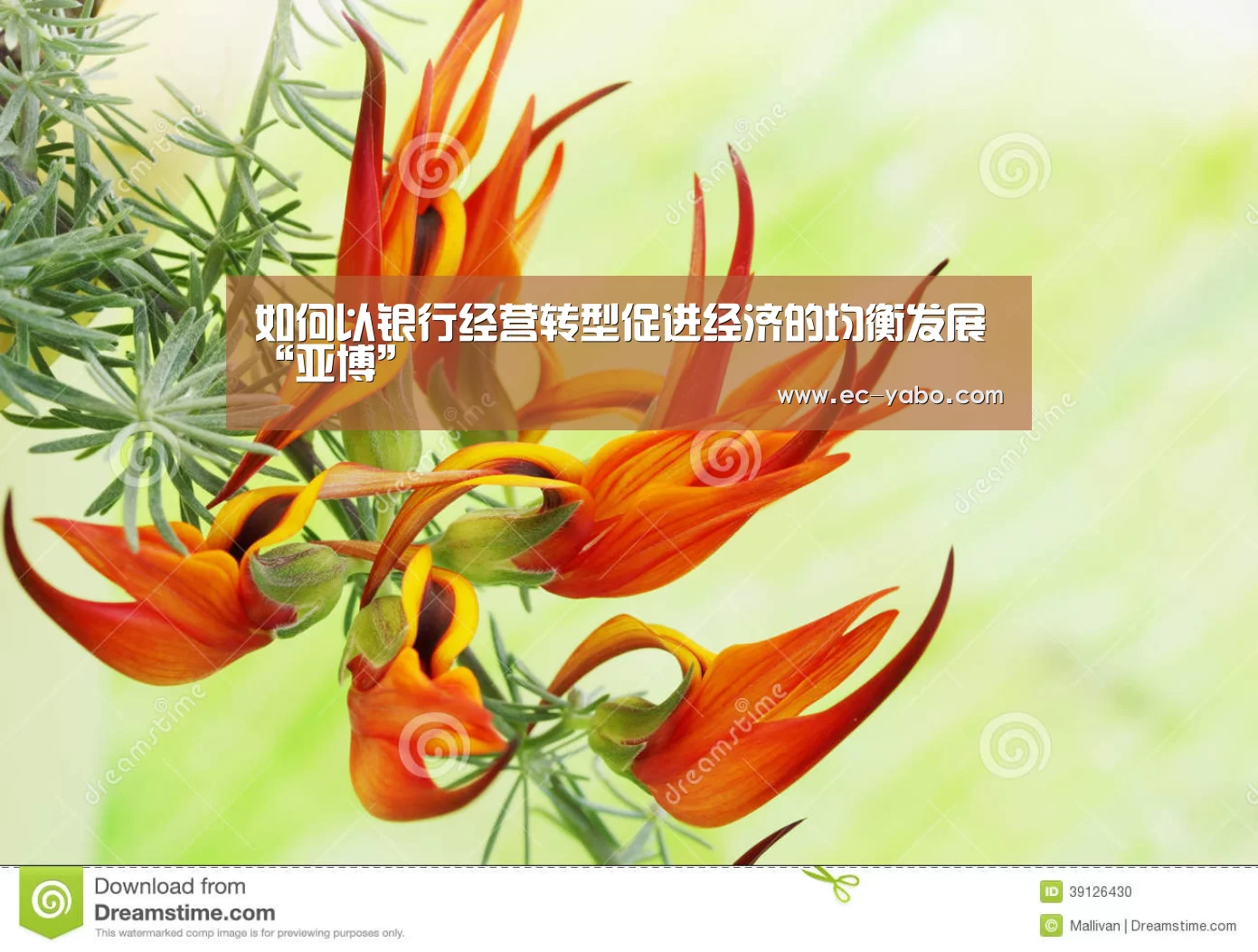 亚博平台