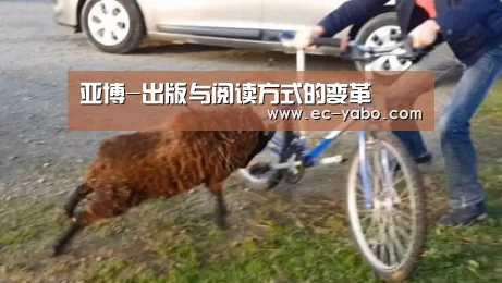 亚博