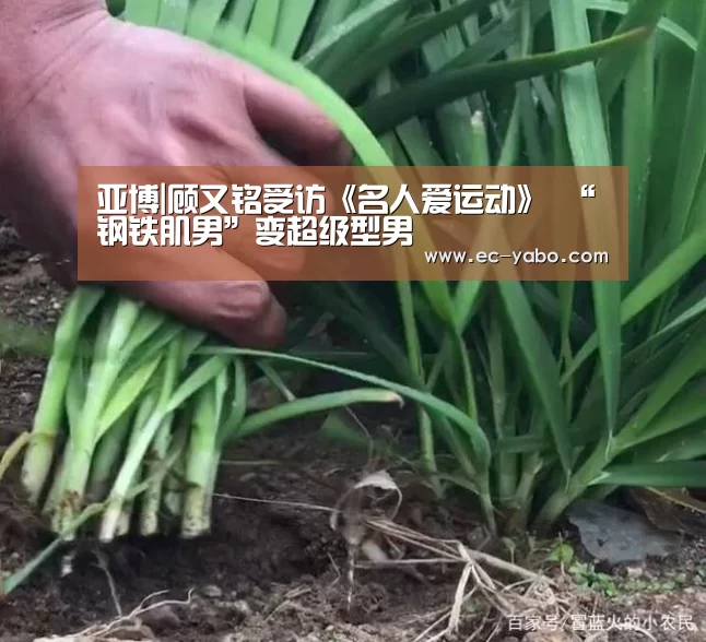 亚博|顾又铭受访《名人爱运动》 “钢铁肌男”变超级型男