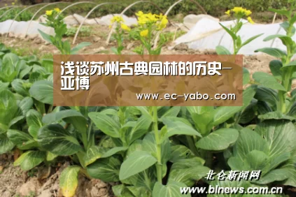 亚博