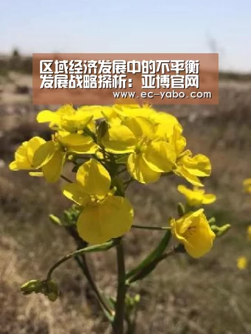 亚博官网